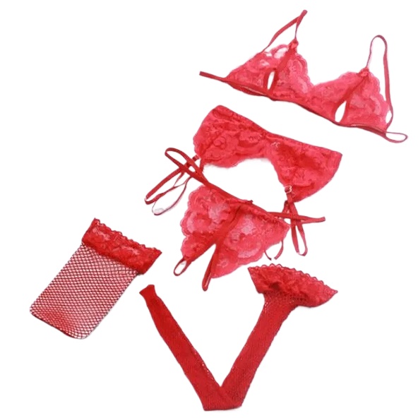 Lace Women Lingerie Set 4 Pcs  - Sheer Bra Lace reseña y precio