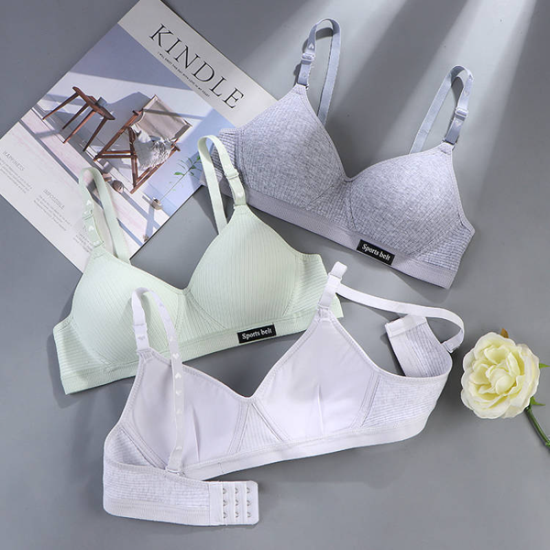 Women Cotton Underwear AB Cup  - Cotton Bra Everyday reseña y precio